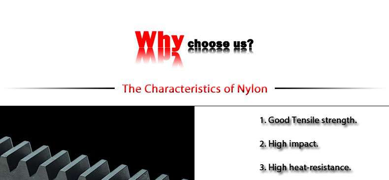 nylon rack and pinion