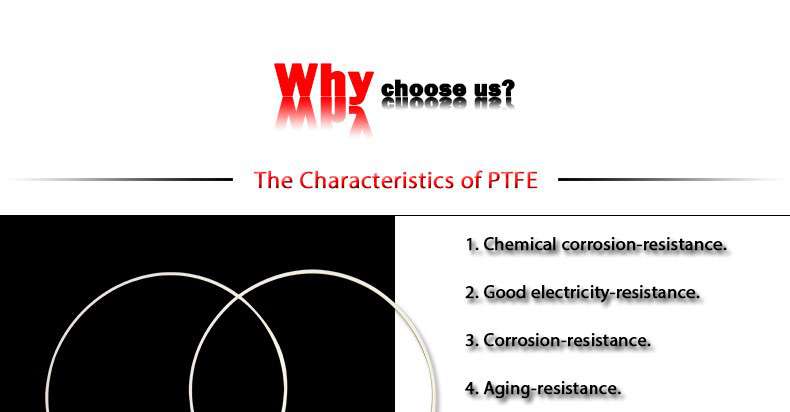 PTFE gasket ring