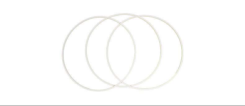 PTFE gasket ring