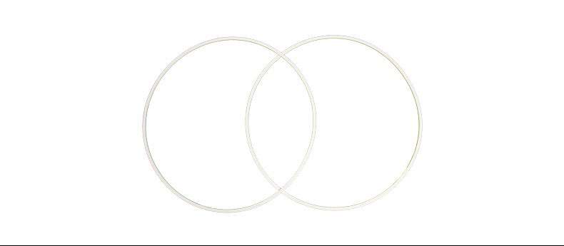 PTFE gasket ring