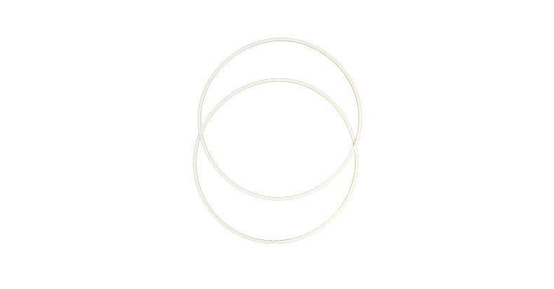 PTFE gasket ring